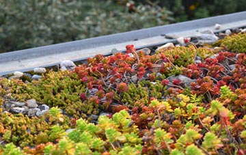 the cost of Tolvah green roof installation