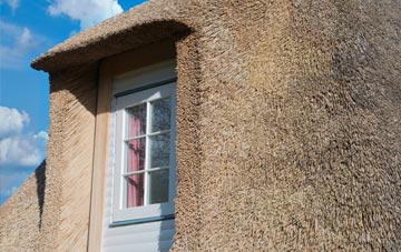 Tolvah thatch roof disadvantages